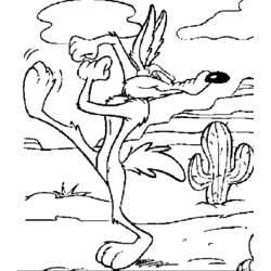 Disegno da colorare: Coyote (Animali) #4486 - Pagine da Colorare Stampabili Gratuite