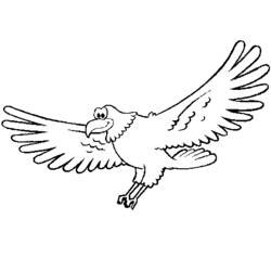 Disegno da colorare: Falco (Animali) #6830 - Pagine da Colorare Stampabili Gratuite