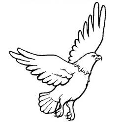 Disegno da colorare: Falco (Animali) #6834 - Pagine da Colorare Stampabili Gratuite