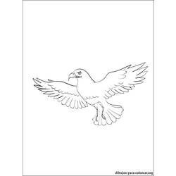Disegno da colorare: Falco (Animali) #6842 - Pagine da Colorare Stampabili Gratuite