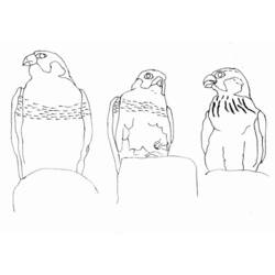 Disegno da colorare: Falco (Animali) #6852 - Pagine da Colorare Stampabili Gratuite