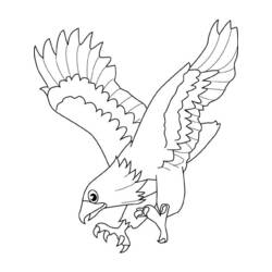 Disegno da colorare: Falco (Animali) #6855 - Pagine da Colorare Stampabili Gratuite