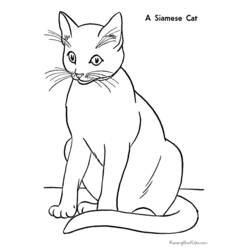 Disegno da colorare: Gatto (Animali) #1775 - Pagine da Colorare Stampabili Gratuite