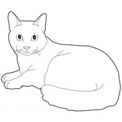 Disegno da colorare: Gatto (Animali) #1793 - Pagine da Colorare Stampabili Gratuite