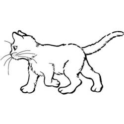 Disegno da colorare: Gatto (Animali) #1822 - Pagine da Colorare Stampabili Gratuite