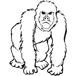 Disegno da colorare: Gorilla (Animali) #7419 - Pagine da Colorare Stampabili Gratuite