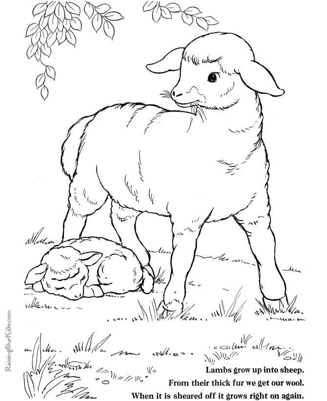 Disegno da colorare: Agnello (Animali) #268 - Pagine da Colorare Stampabili Gratuite