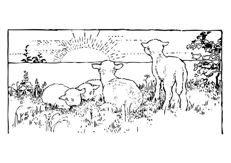 Disegno da colorare: Agnello (Animali) #269 - Pagine da Colorare Stampabili Gratuite
