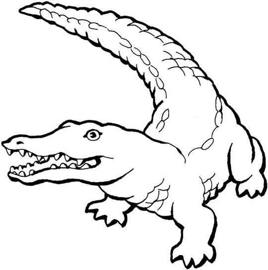 Disegno da colorare: Alligatore (Animali) #376 - Pagine da Colorare Stampabili Gratuite