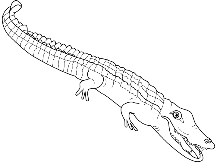 Disegno da colorare: Alligatore (Animali) #384 - Pagine da Colorare Stampabili Gratuite