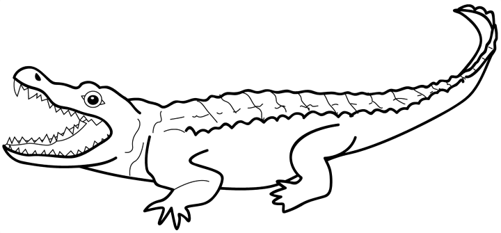 Disegno da colorare: Alligatore (Animali) #397 - Pagine da Colorare Stampabili Gratuite