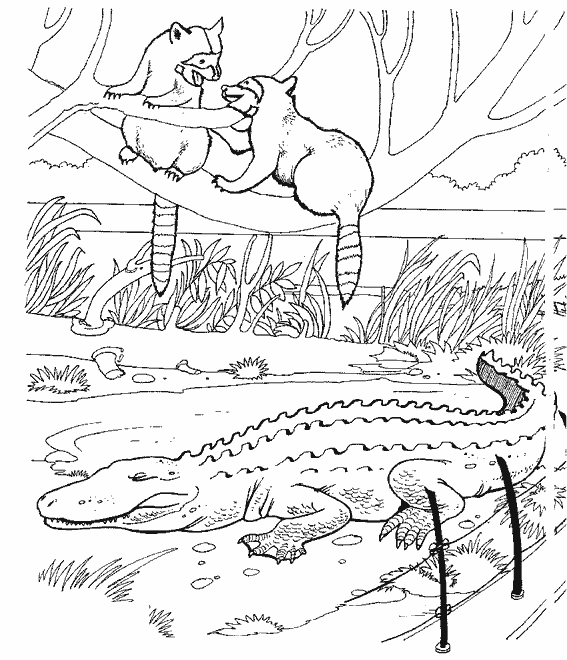 Disegno da colorare: Alligatore (Animali) #421 - Pagine da Colorare Stampabili Gratuite