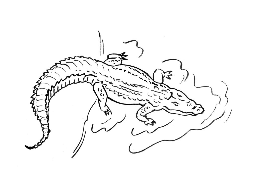 Disegno da colorare: Alligatore (Animali) #431 - Pagine da Colorare Stampabili Gratuite
