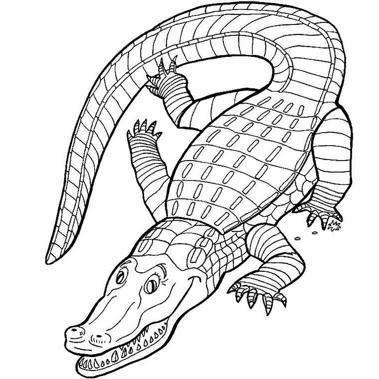Disegno da colorare: Alligatore (Animali) #434 - Pagine da Colorare Stampabili Gratuite