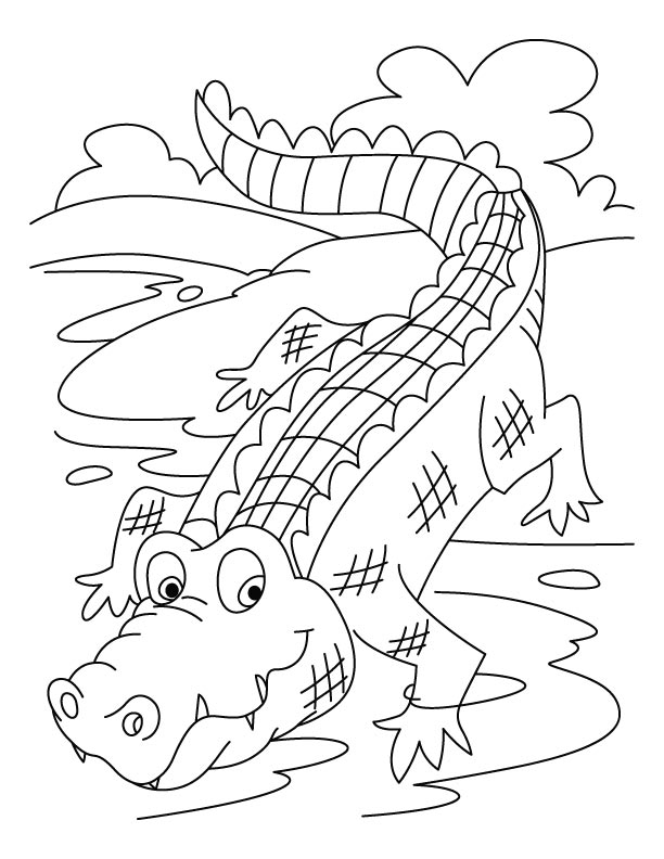 Disegno da colorare: Alligatore (Animali) #450 - Pagine da Colorare Stampabili Gratuite