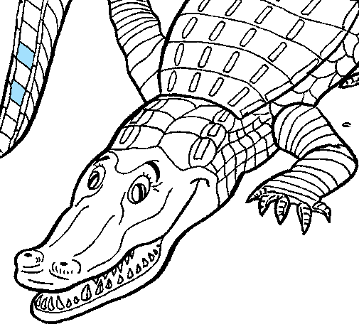 Disegno da colorare: Alligatore (Animali) #474 - Pagine da Colorare Stampabili Gratuite