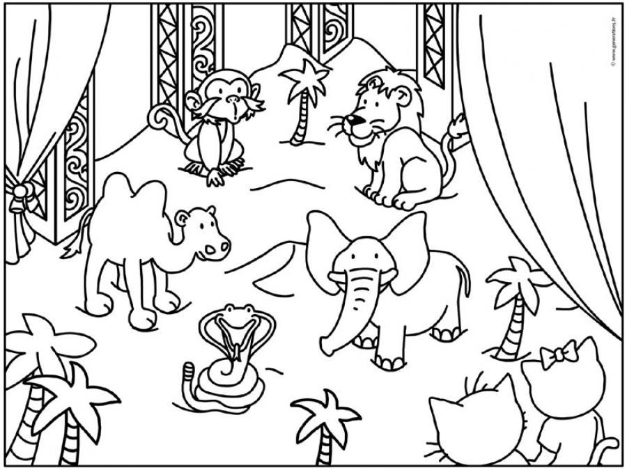 Disegno da colorare: Animali da circo (Animali) #20891 - Pagine da Colorare Stampabili Gratuite