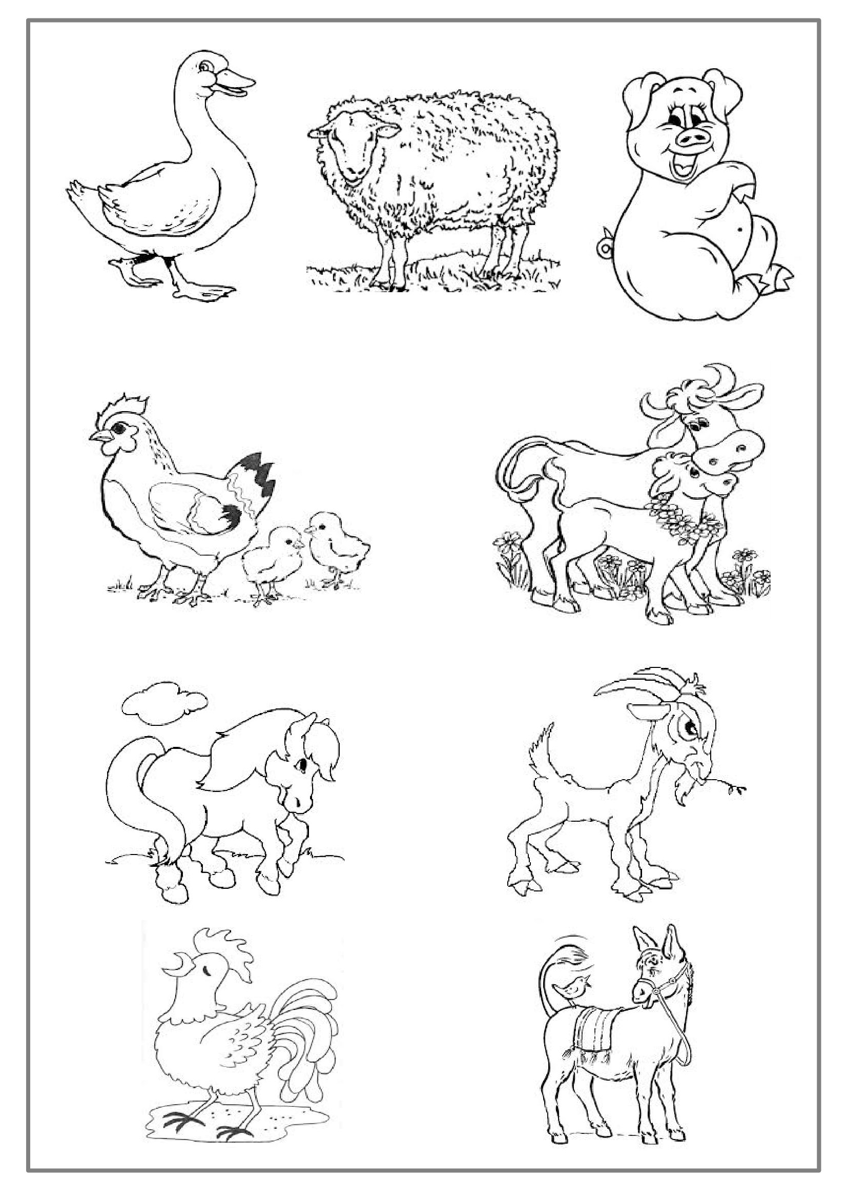 Disegno da colorare: Animali da fattoria (Animali) #21424 - Pagine da Colorare Stampabili Gratuite