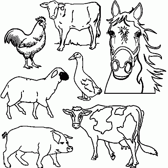 Disegno da colorare: Animali da fattoria (Animali) #21427 - Pagine da Colorare Stampabili Gratuite