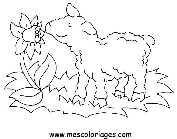 Disegno da colorare: Animali da fattoria (Animali) #21501 - Pagine da Colorare Stampabili Gratuite