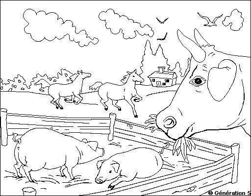 Disegno da colorare: Animali da fattoria (Animali) #21663 - Pagine da Colorare Stampabili Gratuite
