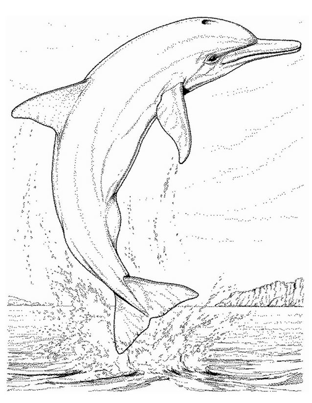 Disegno da colorare: animali marini (Animali) #22143 - Pagine da Colorare Stampabili Gratuite