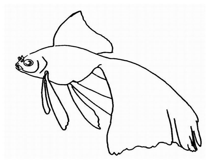 Disegno da colorare: animali marini (Animali) #22264 - Pagine da Colorare Stampabili Gratuite