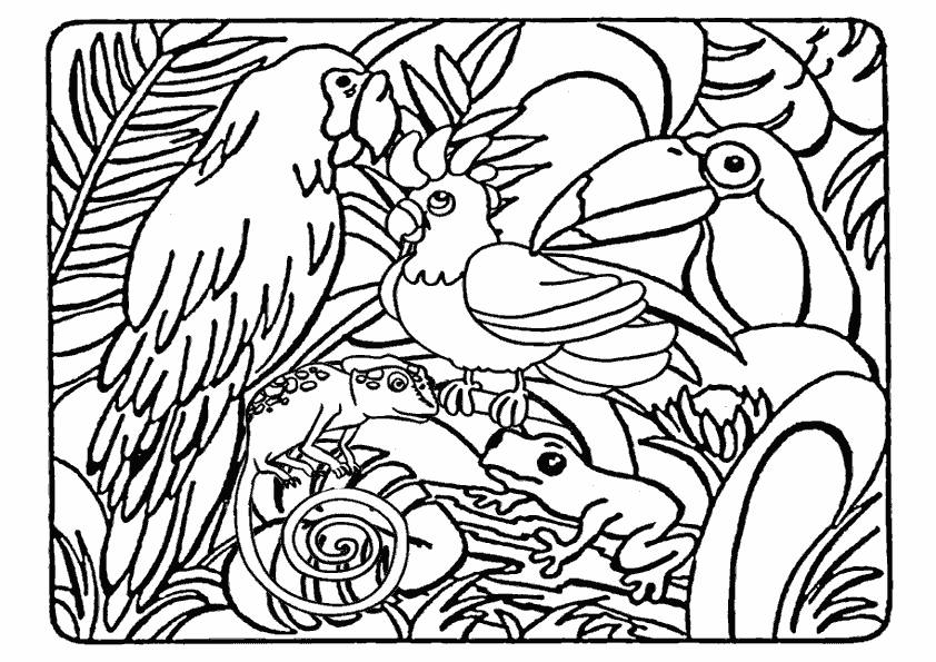 Disegno da colorare: Animali selvaggi/della giungla (Animali) #21082 - Pagine da Colorare Stampabili Gratuite