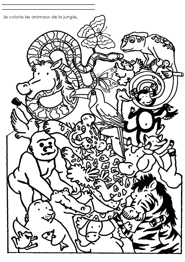 Disegno da colorare: Animali selvaggi/della giungla (Animali) #21091 - Pagine da Colorare Stampabili Gratuite