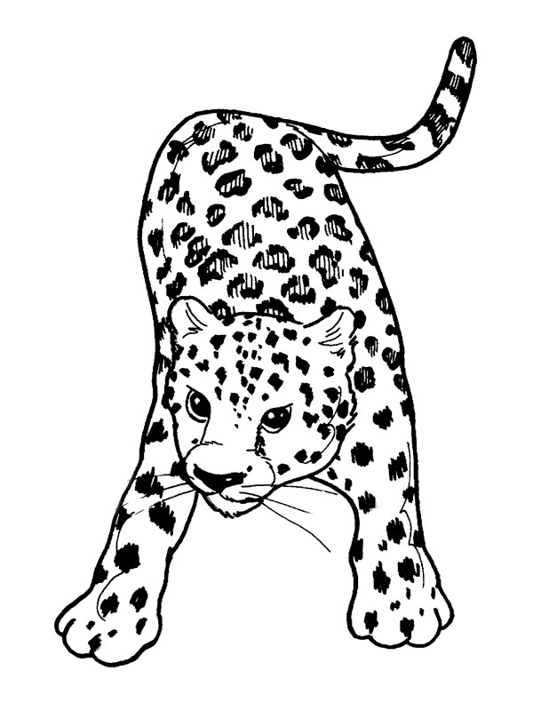 Disegno da colorare: Animali selvaggi/della giungla (Animali) #21102 - Pagine da Colorare Stampabili Gratuite