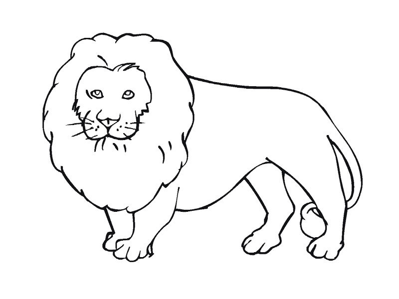 Disegno da colorare: Animali selvaggi/della giungla (Animali) #21111 - Pagine da Colorare Stampabili Gratuite