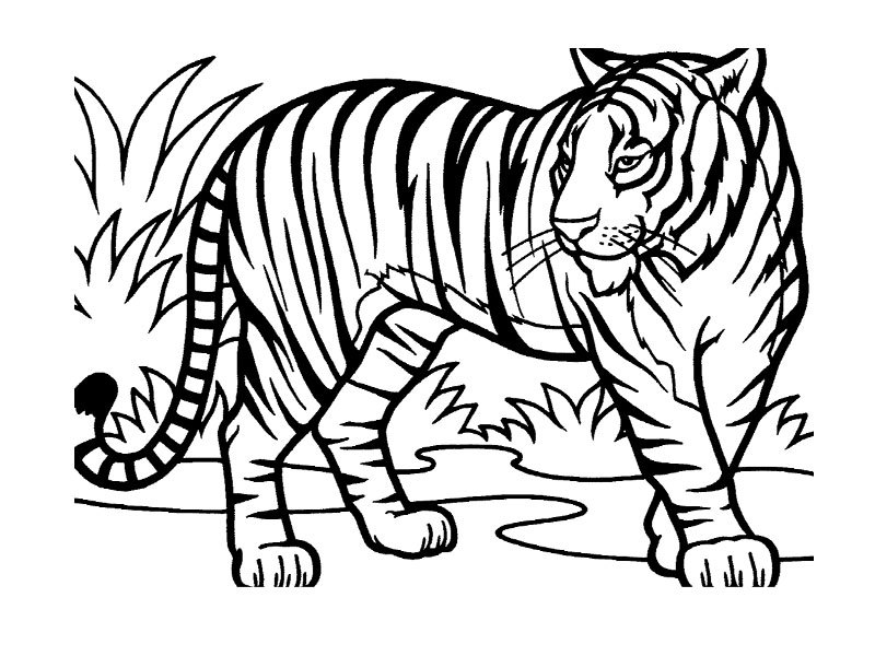 Disegno da colorare: Animali selvaggi/della giungla (Animali) #21114 - Pagine da Colorare Stampabili Gratuite