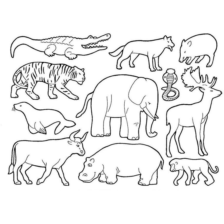 Disegno da colorare: Animali selvaggi/della giungla (Animali) #21120 - Pagine da Colorare Stampabili Gratuite