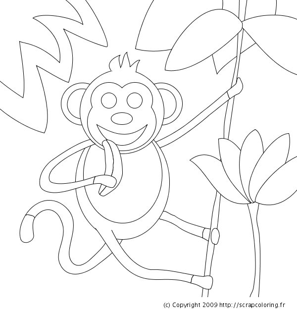 Disegno da colorare: Animali selvaggi/della giungla (Animali) #21230 - Pagine da Colorare Stampabili Gratuite
