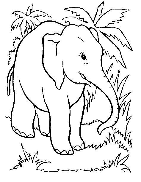 Disegno da colorare: Animali selvaggi/della giungla (Animali) #21263 - Pagine da Colorare Stampabili Gratuite