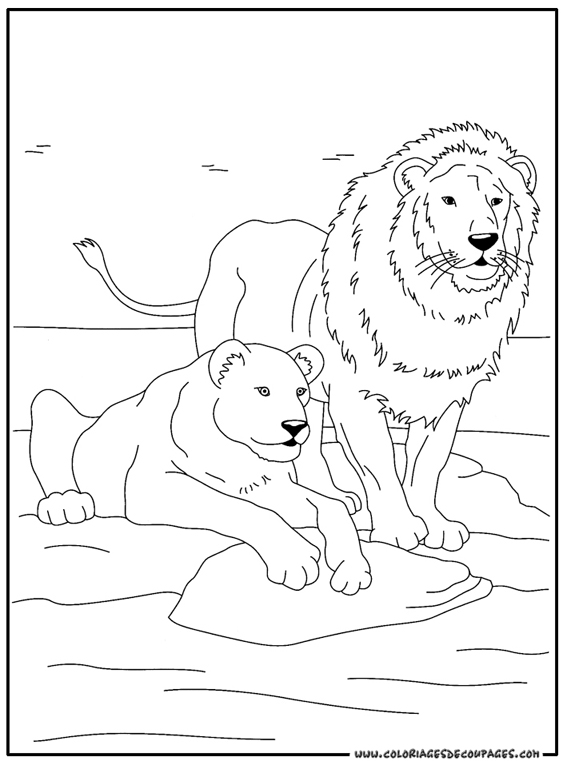 Disegno da colorare: Animali selvaggi/della giungla (Animali) #21291 - Pagine da Colorare Stampabili Gratuite