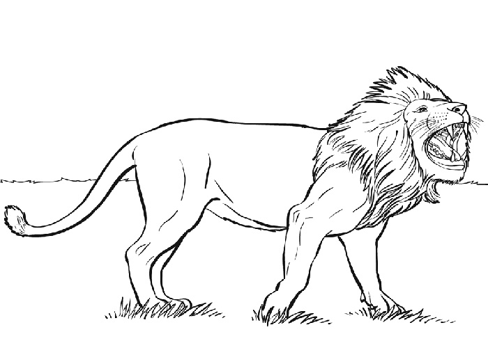 Disegno da colorare: Animali selvaggi/della giungla (Animali) #21338 - Pagine da Colorare Stampabili Gratuite