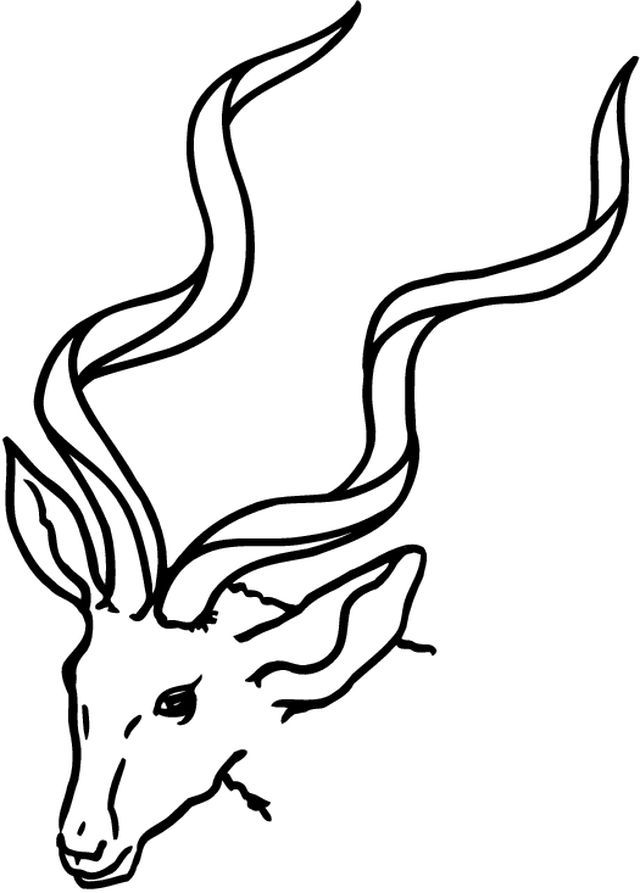 Disegno da colorare: Antilope (Animali) #22590 - Pagine da Colorare Stampabili Gratuite