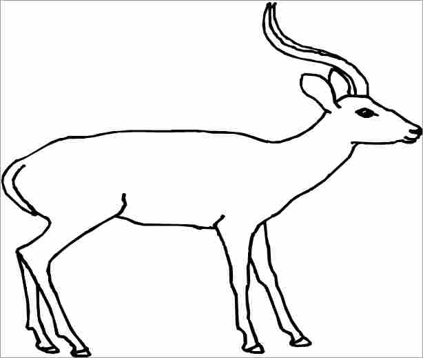Disegno da colorare: Antilope (Animali) #22591 - Pagine da Colorare Stampabili Gratuite