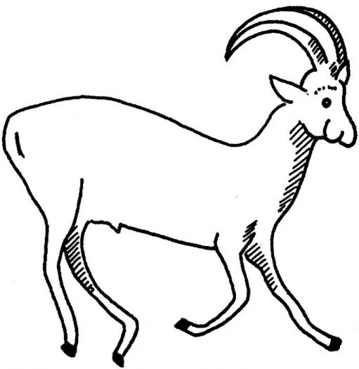 Disegno da colorare: Antilope (Animali) #22592 - Pagine da Colorare Stampabili Gratuite