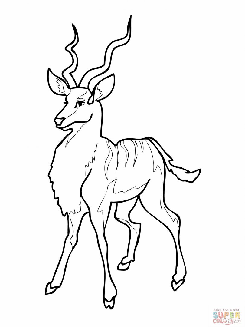 Disegno da colorare: Antilope (Animali) #22598 - Pagine da Colorare Stampabili Gratuite