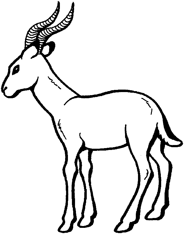 Disegno da colorare: Antilope (Animali) #22599 - Pagine da Colorare Stampabili Gratuite