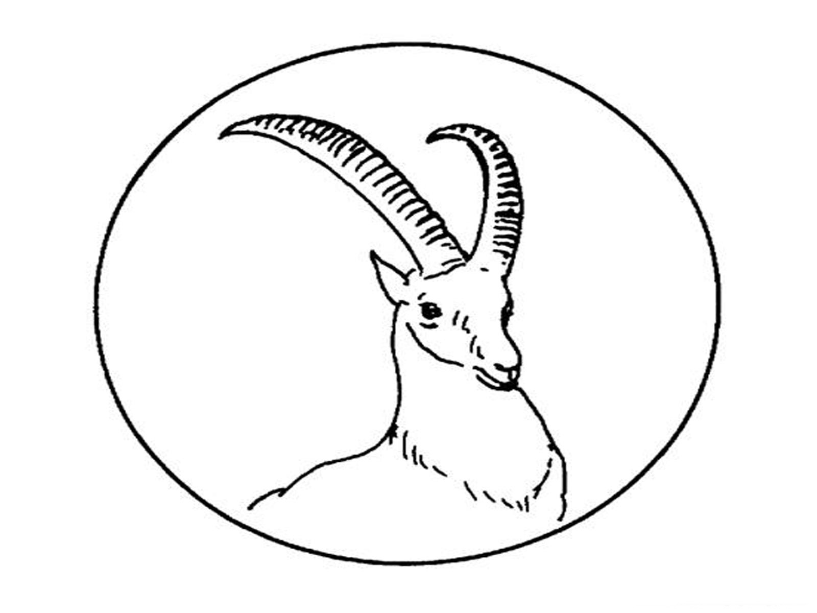 Disegno da colorare: Antilope (Animali) #22602 - Pagine da Colorare Stampabili Gratuite