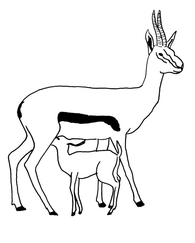 Disegno da colorare: Antilope (Animali) #22605 - Pagine da Colorare Stampabili Gratuite