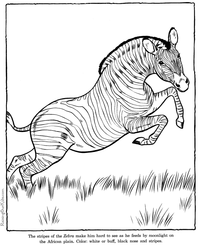 Disegno da colorare: Antilope (Animali) #22612 - Pagine da Colorare Stampabili Gratuite