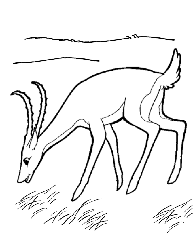 Disegno da colorare: Antilope (Animali) #22633 - Pagine da Colorare Stampabili Gratuite