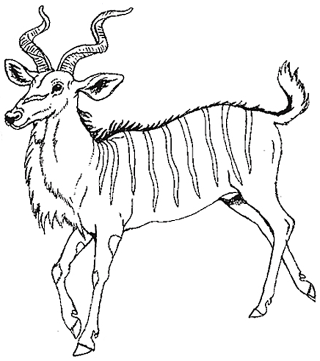 Disegno da colorare: Antilope (Animali) #22637 - Pagine da Colorare Stampabili Gratuite