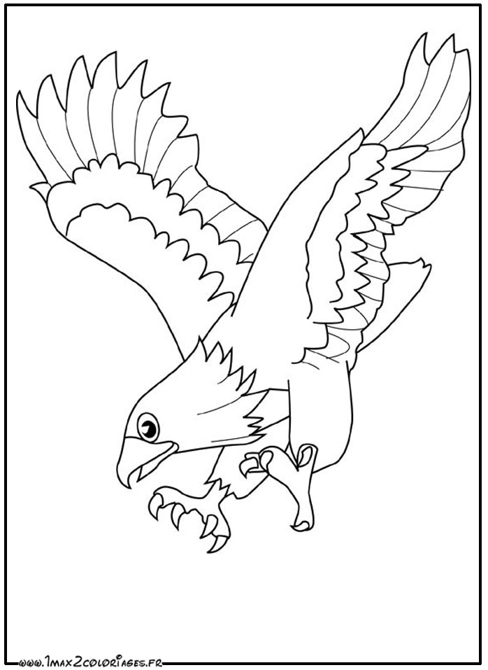 Disegno da colorare: Aquila (Animali) #290 - Pagine da Colorare Stampabili Gratuite