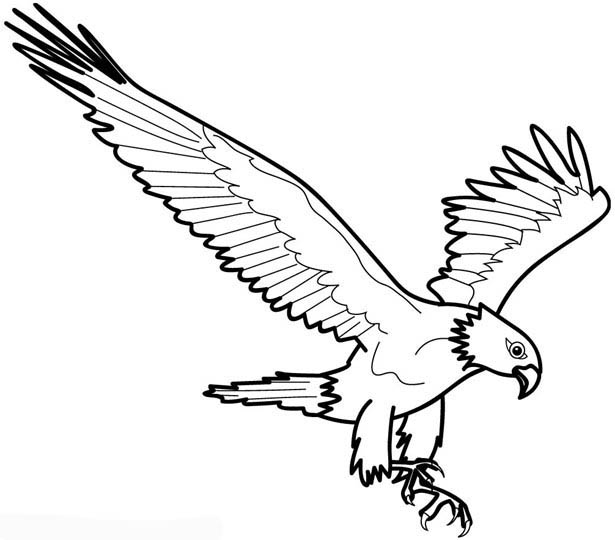 Disegno da colorare: Aquila (Animali) #294 - Pagine da Colorare Stampabili Gratuite