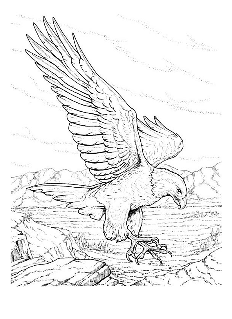 Disegno da colorare: Aquila (Animali) #296 - Pagine da Colorare Stampabili Gratuite